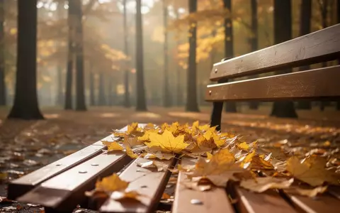 Eine Parkbank mit herbstlichem Laub in einem sonnigen Park bei herbstlicher Stimmung. - Foto: über boerse-global.de