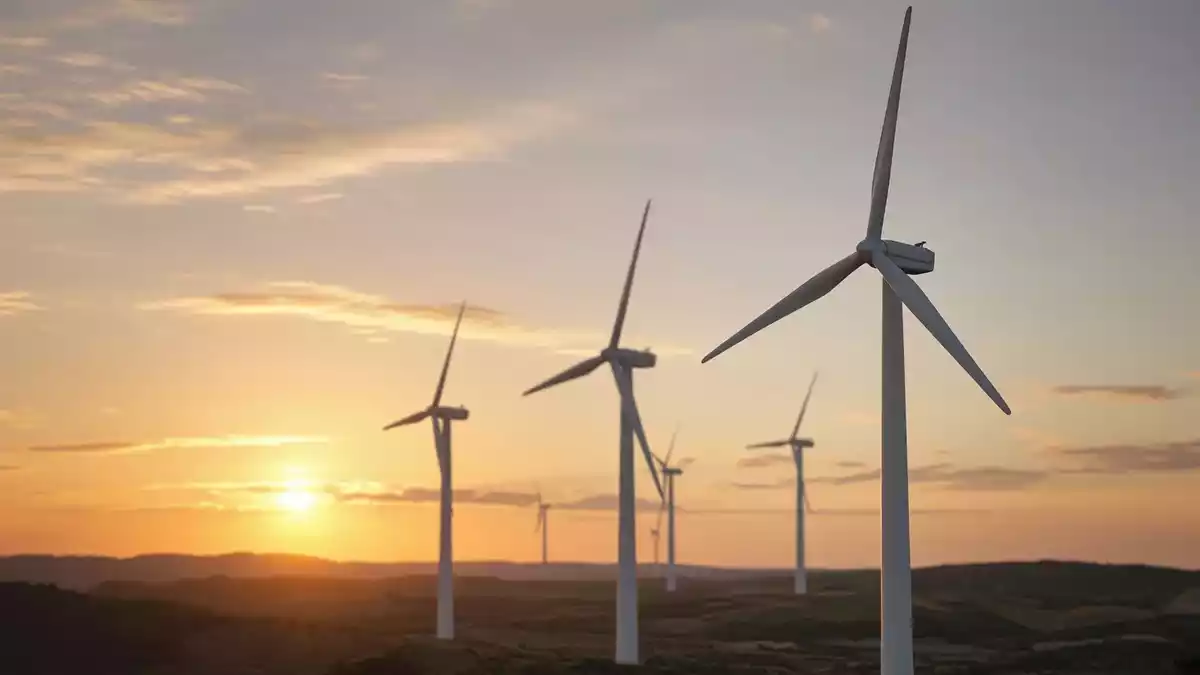 Vortex Energy plant Gravimetrieprogramm für Robinsons River