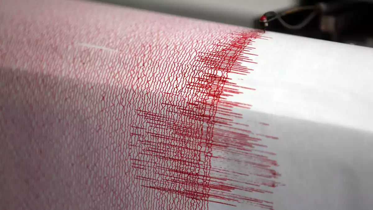 Seismographen zeichnen Erdbeben auf. (Symbolbild) - Bild: Oliver Berg/dpa