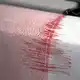 Seismographen zeichnen Erdbeben auf. (Symbolbild) - Bild: Oliver Berg/dpa