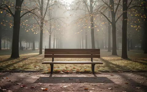 Eine leere Holzbank in einem herbstlichen Park mit goldenem Licht und langen Schatten. - Foto: über boerse-global.de