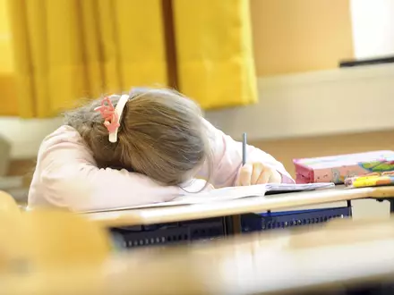 Viele Schüler fühlen sich erschöpft. (Symbolfoto) - Foto: Marcus Brandt/dpa
