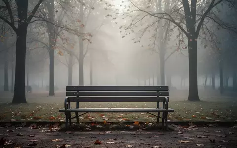 Eine leere Parkbank in einer ruhigen, nebligen Parklandschaft bei sanftem Morgenlicht. - Foto: über boerse-global.de