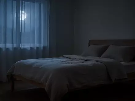 Ein minimalistisch eingerichtetes, ruhig wirkendes Schlafzimmer bei Mondlicht, das eine entspannte Atmosphäre vermittelt. - Foto: über boerse-global.de