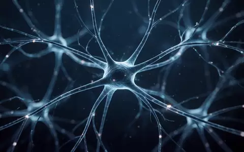 Abstrakte Darstellung neuronaler Verbindungen und Synapsen als leuchtende Filamente vor einem dunklen, blauen Hintergrund. - Foto: über boerse-global.de