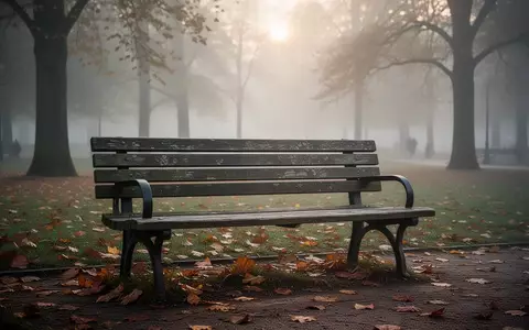 Eine einsame Parkbank in einem herbstlichen Park im Morgennebel als Symbol für Innehalten und Unterstützung. - Foto: über boerse-global.de