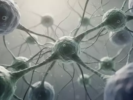 Mikroskopische Aufnahme organischer Zellstrukturen und neuronaler Netzwerke in neutralen Farben. - Foto: über boerse-global.de