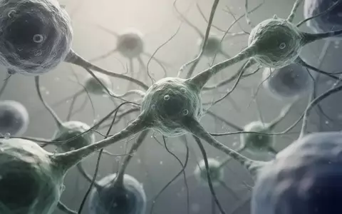 Mikroskopische Aufnahme organischer Zellstrukturen und neuronaler Netzwerke in neutralen Farben. - Foto: über boerse-global.de