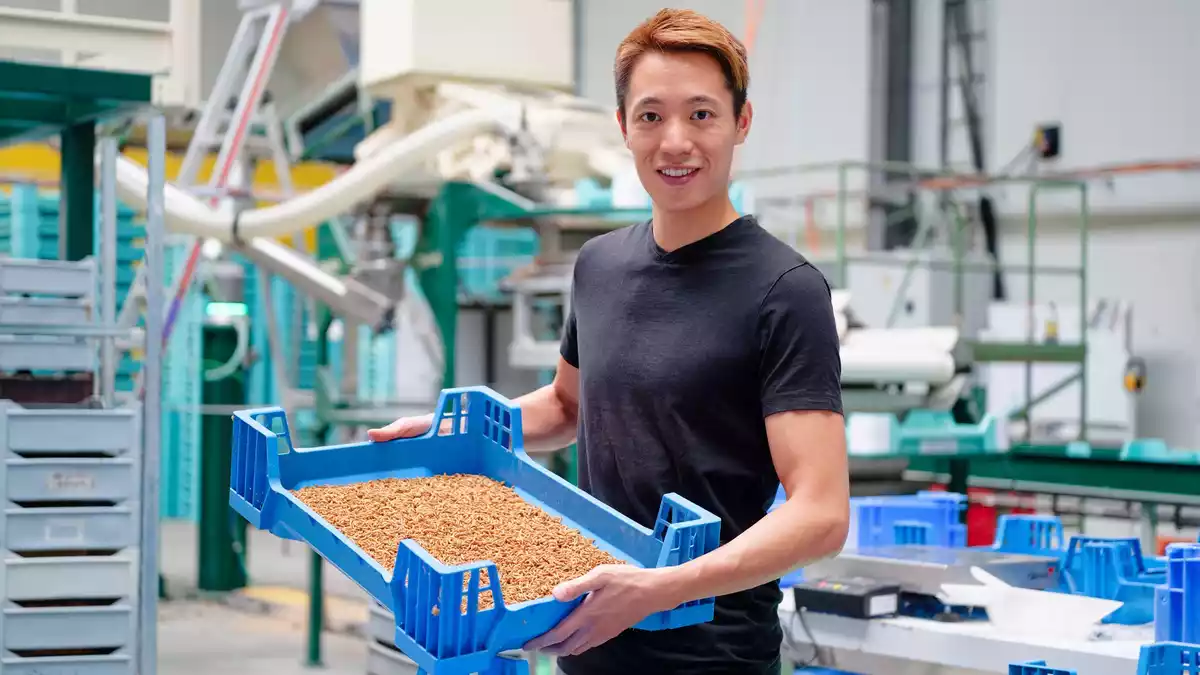 Mit der Idee, Insekten zur Lebensmittelproduktion zu züchten, hatte Gia Tien Ngo einst gegründet. - Bild: Uwe Anspach/dpa