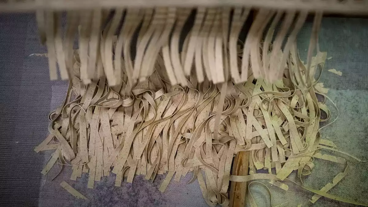 Plumento Food hatte unter anderem insektenhaltige Nudeln vertrieben. (Archivbild) - Bild: Marijan Murat/dpa