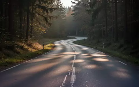 Eine leere, kurvige Landstraße in einem Waldgebiet bei spätem Nachmittagslicht. - Foto: über boerse-global.de