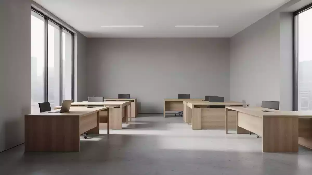 Neue Grundsicherung: Jobcenter müssen Verdachtsfälle an Zoll melden