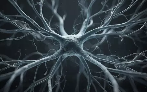 Mikroskopische Aufnahme eines biologischen Netzwerks aus Nervenbahnen und Lymphgewebe in einer Laborumgebung. - Foto: über boerse-global.de