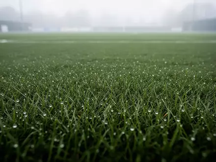 Nahaufnahme von saftigem, grünem Fußballrasen in den frühen Morgenstunden mit Tautropfen auf den Grashalmen. - Foto: über boerse-global.de