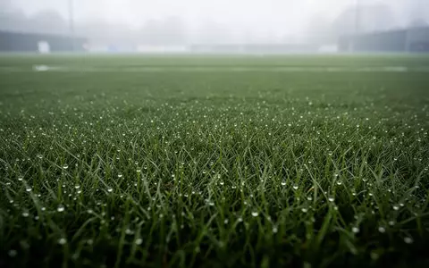 Nahaufnahme von saftigem, grünem Fußballrasen in den frühen Morgenstunden mit Tautropfen auf den Grashalmen. - Foto: über boerse-global.de