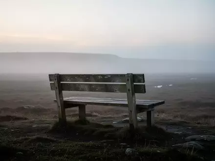 Eine einsame Holzbank in einer nebligen Moorlandschaft bei Tagesanbruch. - Foto: über boerse-global.de