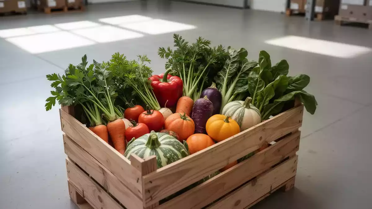 ALDI Nord und Netto: Bio, Markenrabatte und Aktionsware