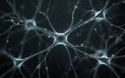 Hochauflösende mikroskopische Aufnahme eines neuronalen Netzwerks mit komplexen zellulĂ€ren Verzweigungen. - Foto: ĂŒber boerse-global.de