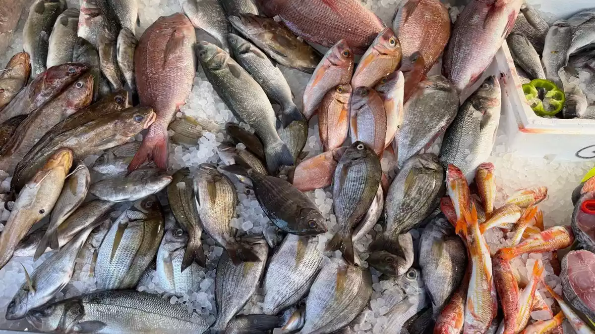 Frischen Fisch erkennt man unter anderen an den klaren, glänzenden Augen.  - Bild: Alexia Angelopoulou/dpa