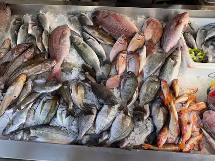 Frischen Fisch erkennt man unter anderen an den klaren, glänzenden Augen.  - Foto: Alexia Angelopoulou/dpa