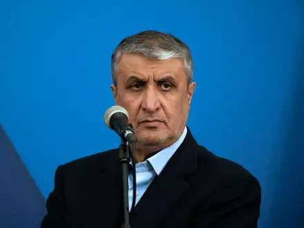 Der iranische Atomchef ist mit einem UN-Reiseverbot belegt. (Archivbild) - Foto: Vahid Salemi/AP/dpa