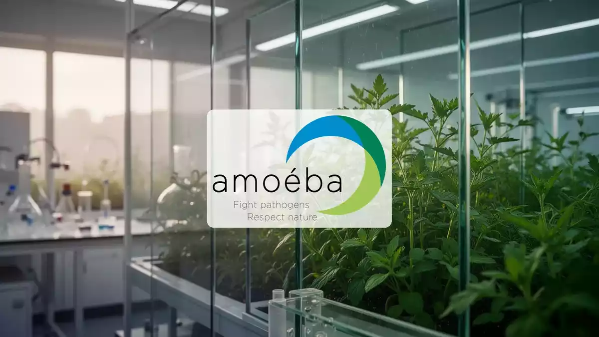 Amoéba-Aktie fällt trotz Syngenta-Partnerschaft nahe Jahrestief
