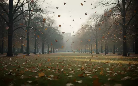 Eine herbstliche Parklandschaft mit kahlen Bäumen und weichem Tageslicht, die die Vergänglichkeit symbolisiert. - Foto: über boerse-global.de