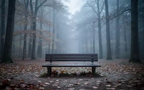 Ein einsamer, leerer Parkbank-Sitzplatz in einem nebligen Wald während eines bewölkten Herbsttages. - Foto: über boerse-global.de