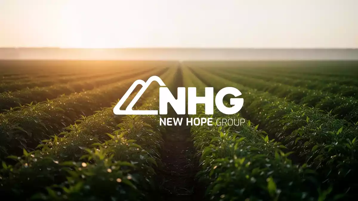 New Hope Aktie steigt trotz Gewinneinbruch dank hoher Dividende