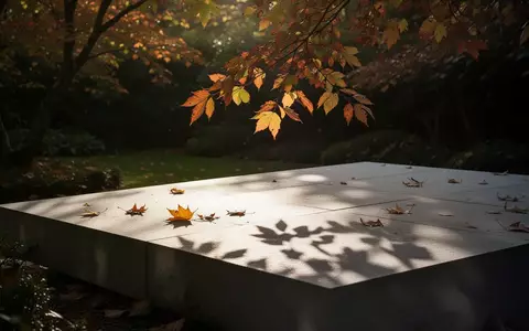Sonnenlicht fällt durch herbstliche Blätter auf eine Steinfläche und symbolisiert die Bedeutung von UV-Strahlung. - Foto: über boerse-global.de
