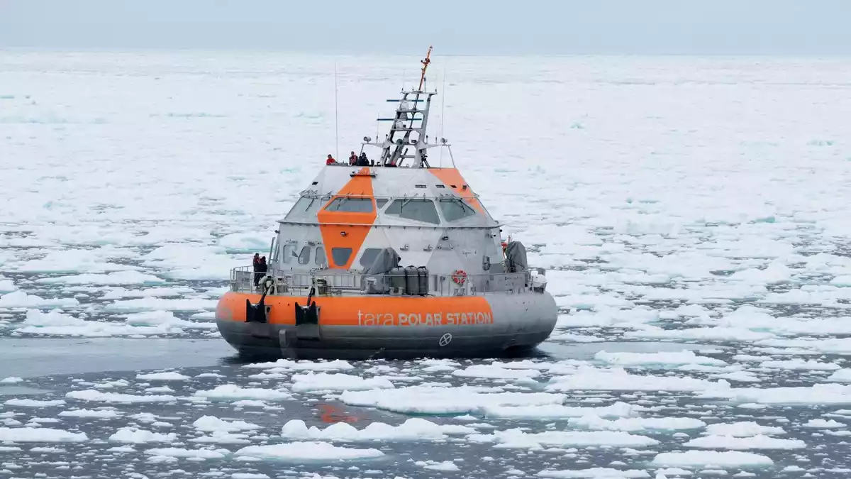 Die «Tara Polar Station» hat eine ovale Form, um dem Eisdruck standzuhalten. (Handout) - Bild: Julia Regnery/Alfred-Wegener-Institut/dpa