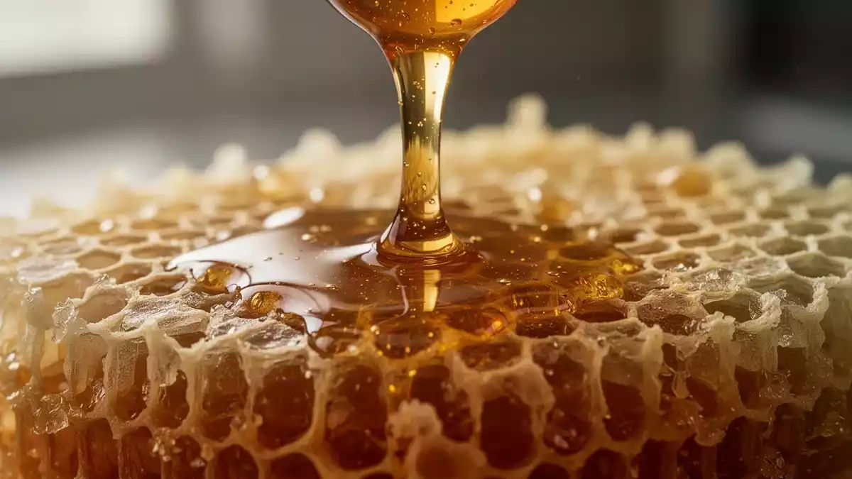 Yamada Bee Farm: Gelée Royale bremst Alterungssignale in Zellen
