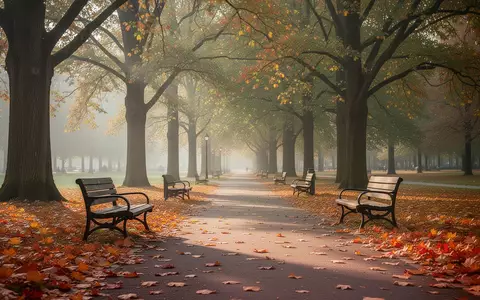 Ein sonniger Parkweg mit leeren Parkbänken im Herbst, der eine ruhige und einladende Atmosphäre für Bewegung im Freien schafft. - Foto: über boerse-global.de
