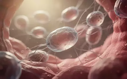Mikroskopische Aufnahme einer biologischen Zellstruktur, die die Umgebung des Darmmikrobioms und mikrobiologische Prozesse darstellt. - Foto: über boerse-global.de
