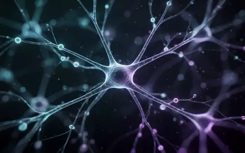 Mikroskopische Aufnahme eines neuronalen Netzwerks im Hippocampus mit leuchtenden Markierungen auf dunklem Hintergrund. - Foto: über boerse-global.de