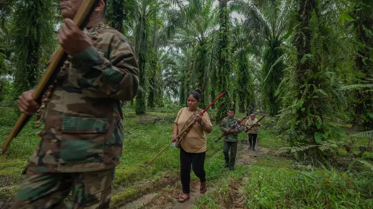 Lateinamerika bleibt ein besonders gefährlichstes Pflaster für Umweltschützer. (Archivbild) - Bild: Leslie Searles/Global Witness/dpa