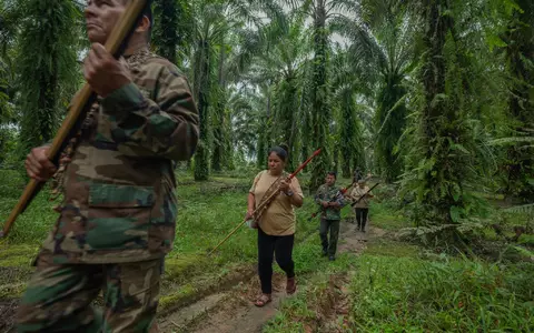 Lateinamerika bleibt ein besonders gefährlichstes Pflaster für Umweltschützer. (Archivbild) - Foto: Leslie Searles/Global Witness/dpa
