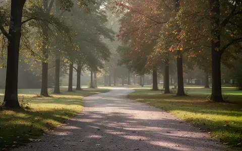 Ein ruhiger, von Bäumen gesäumter Weg in einem Park im Spätsommer bei natürlichem Sonnenlicht. - Foto: über boerse-global.de