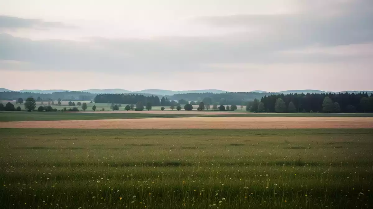 Google-Rechenzentrum in Kronstorf: UVP-Pflicht wird erneut geprüft