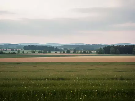 Weite, unbebaute Wiesenfläche in einer ländlichen Region unter einem bedeckten Himmel. - Foto: über boerse-global.de