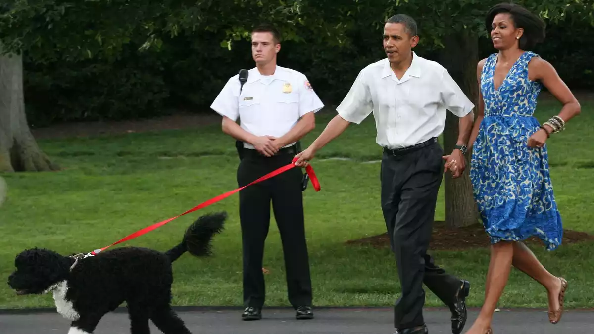 Bevor Hündin Sunny zu den Obamas kam, gehörte auch schon Hund Bo zur Familie. (Archivbild) - Bild: picture alliance / dpa