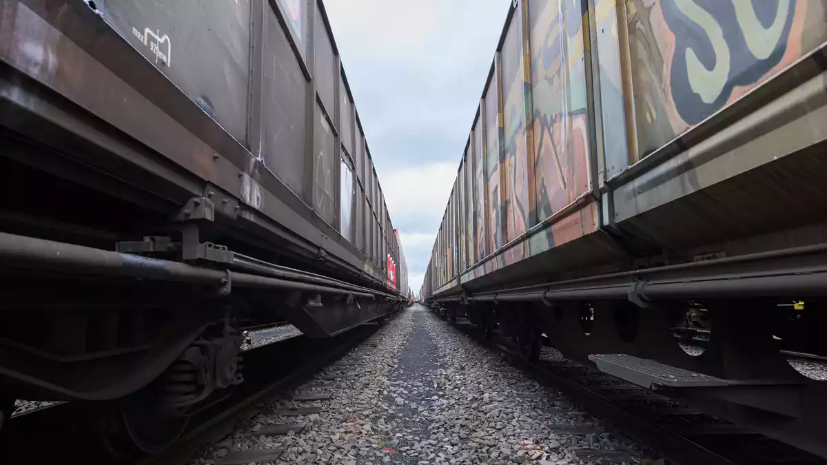 Auch dieses Jahr wird bei DB Cargo wohl ein Verlust anfallen. - Bild: Silas Stein/dpa