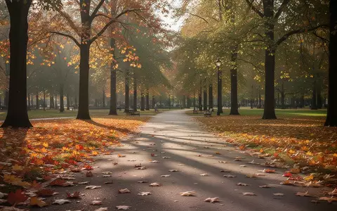 Ein sonnendurchfluteter Parkweg mit herbstlichem Laub im Gegenlicht. - Foto: über boerse-global.de