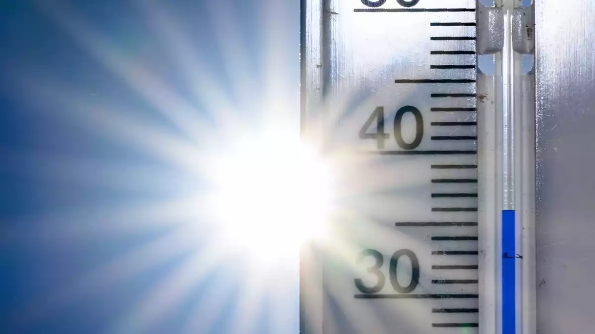 Im Juni knackten die Temperaturen in Deutschland Rekorde. (Symbolbild) - Bild: Patrick Pleul/dpa