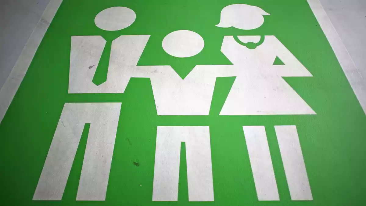 Jeder oder jede zweite lebt in einer Familie. (Symbolbild) - Bild: picture alliance / Jan Woitas/dpa-Zentralbild/dpa