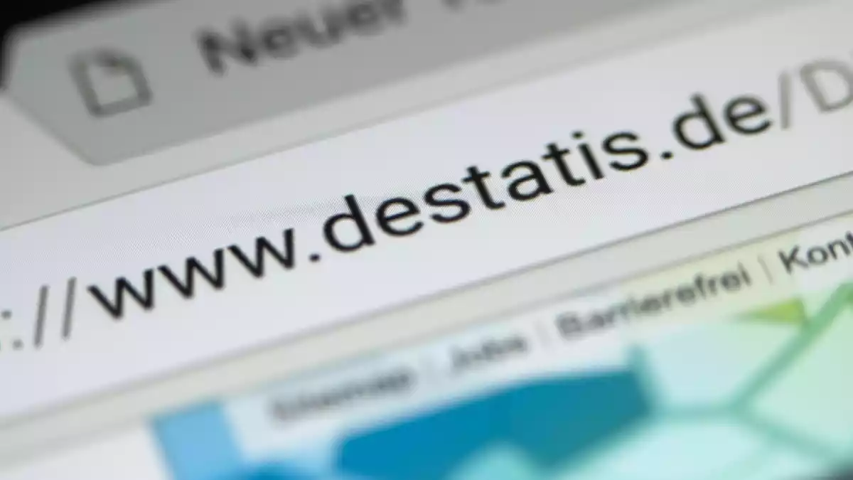 Basis der Befunde ist die Haushaltsbefragung Mikrozensus. (Symbolbild) - Bild: Jens Büttner/dpa-Zentralbild/dpa