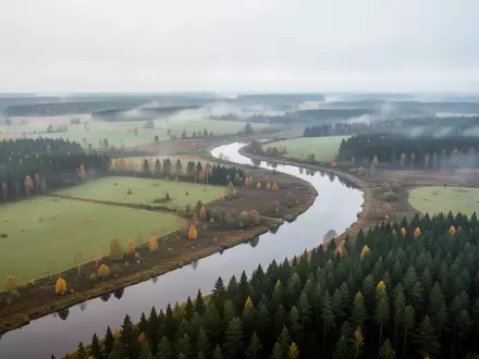 Eine weite, neblige Landschaft mit bewaldeten Hügeln und einem Fluss im Baltikum bei bewölktem Himmel. - Foto: über boerse-global.de