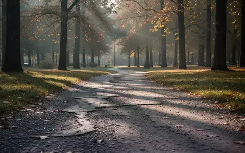 Ein gewundener Kiesweg in einem herbstlichen Waldpark bei weichem Morgenlicht. - Foto: über boerse-global.de