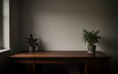 Ein minimalistischer, leerer Schreibtisch in einem privaten Arbeitszimmer mit einer Zimmerpflanze im gedimmten Licht. - Foto: über boerse-global.de
