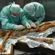 Ötzi wurde hundertfach untersucht - Bild: M.Samadelli/Southtyrolarchaeologymuseum\Eurac via Eurekalert/dpa